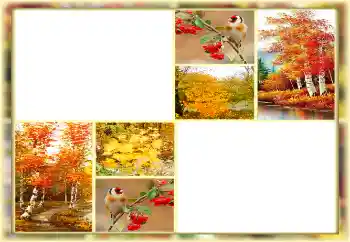 Fotoefekt iz kategorije Jesen № 160654 Fotoefekt iz kategorije Jesen № 160654
