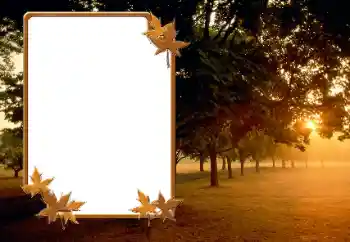 Fotoefekt iz kategorije Jesen № 166423 Fotoefekt iz kategorije Jesen № 166423