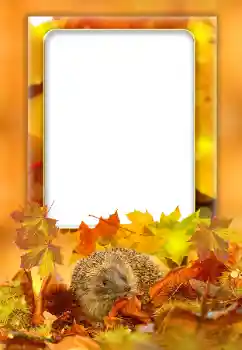 Fotoefekt iz kategorije Jesen № 168000 Fotoefekt iz kategorije Jesen № 168000